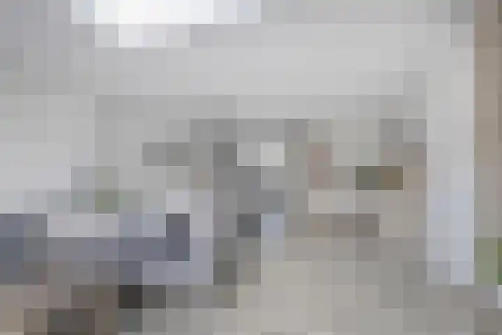 Veldmoeren 6 Breda thumbnail 21