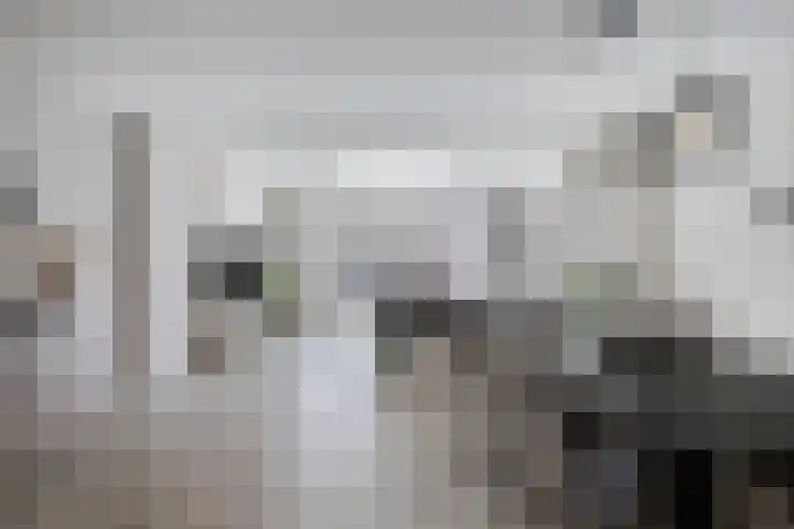Veldmoeren 6 Breda thumbnail 23