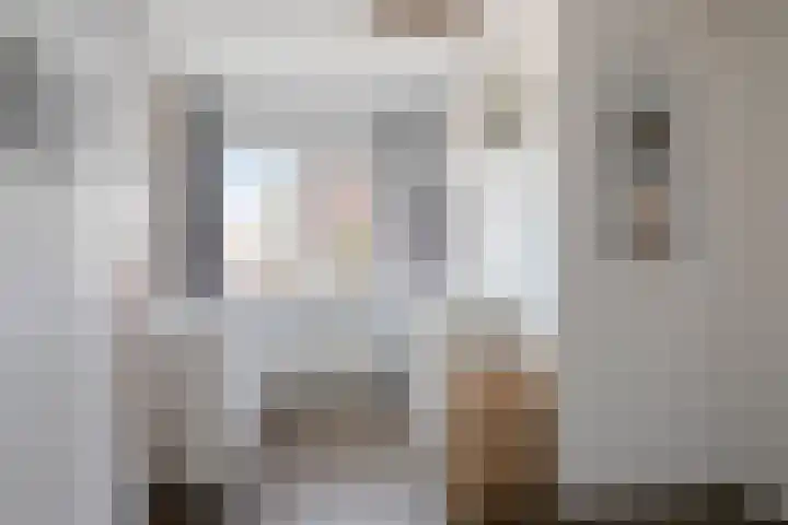 Veldmoeren 6 Breda thumbnail 28