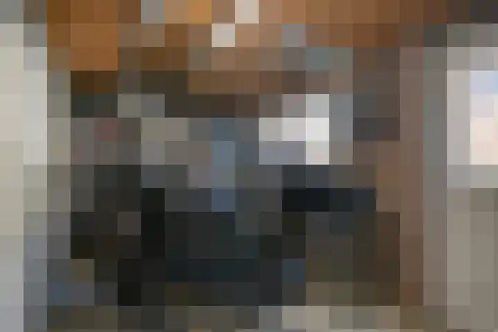 Veldmoeren 6 Breda thumbnail 43