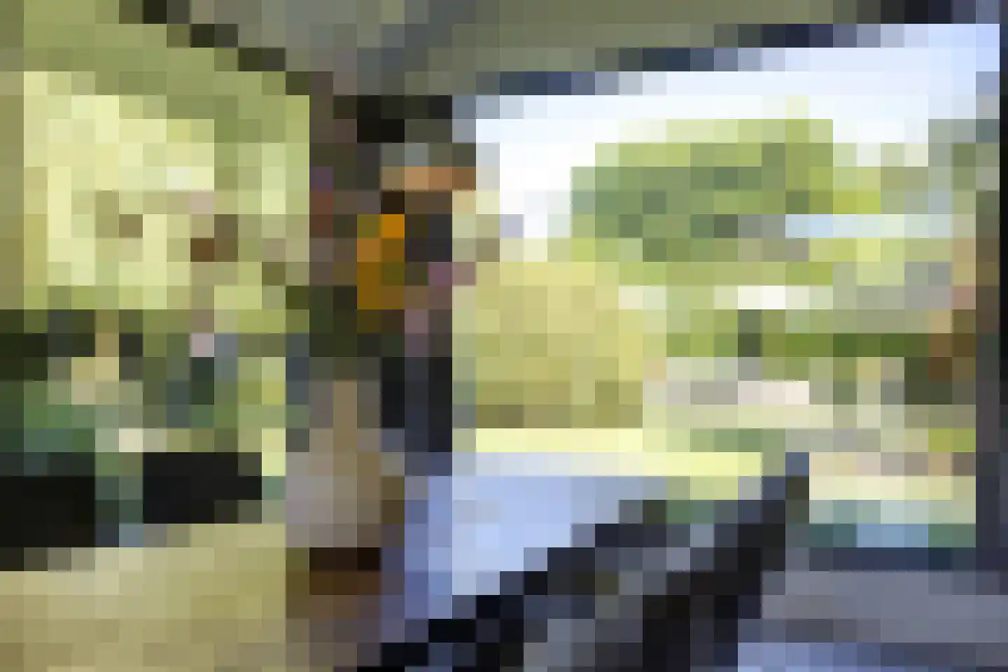Veldmolen 12 Delden thumbnail 17