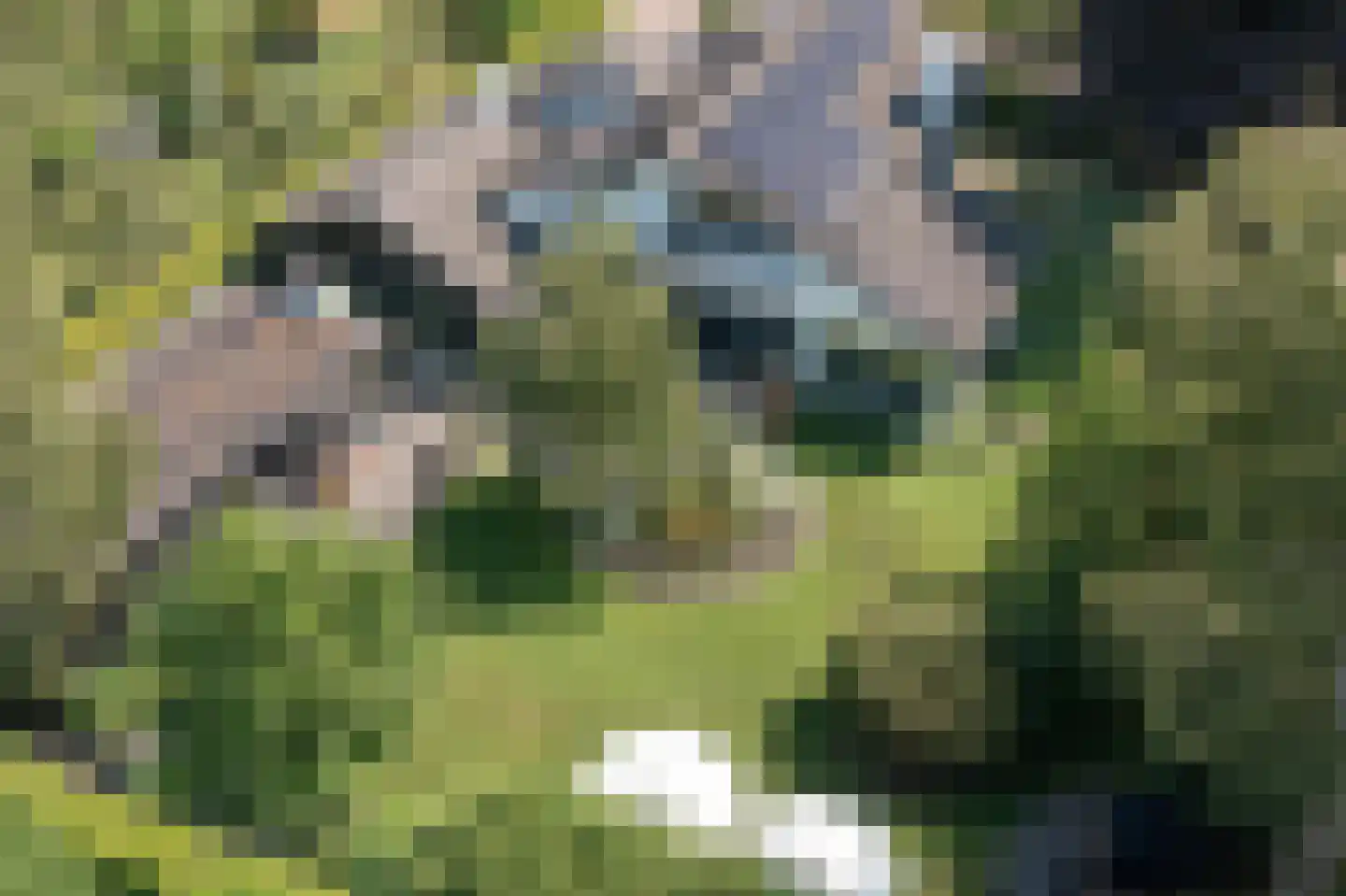 Veldmolen 12 Delden thumbnail 5