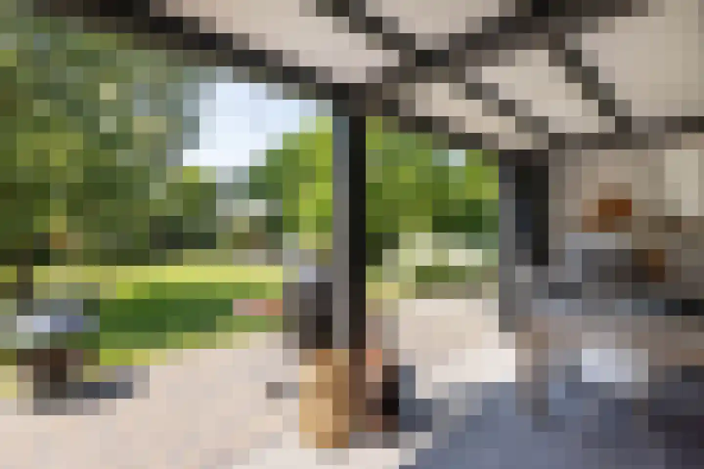 Veldmolen 12 Delden thumbnail 53