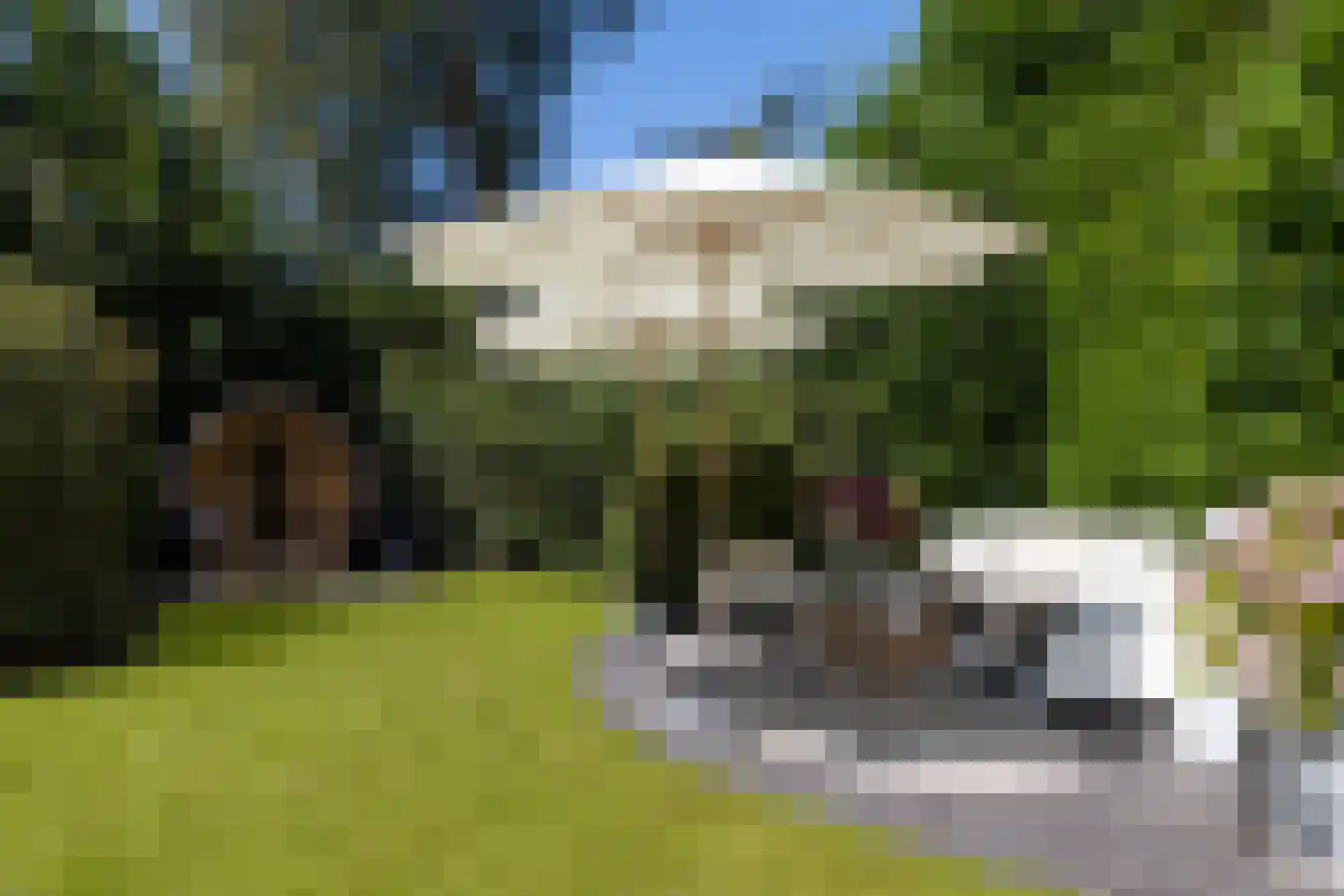 Veldmolen 12 Delden thumbnail 55