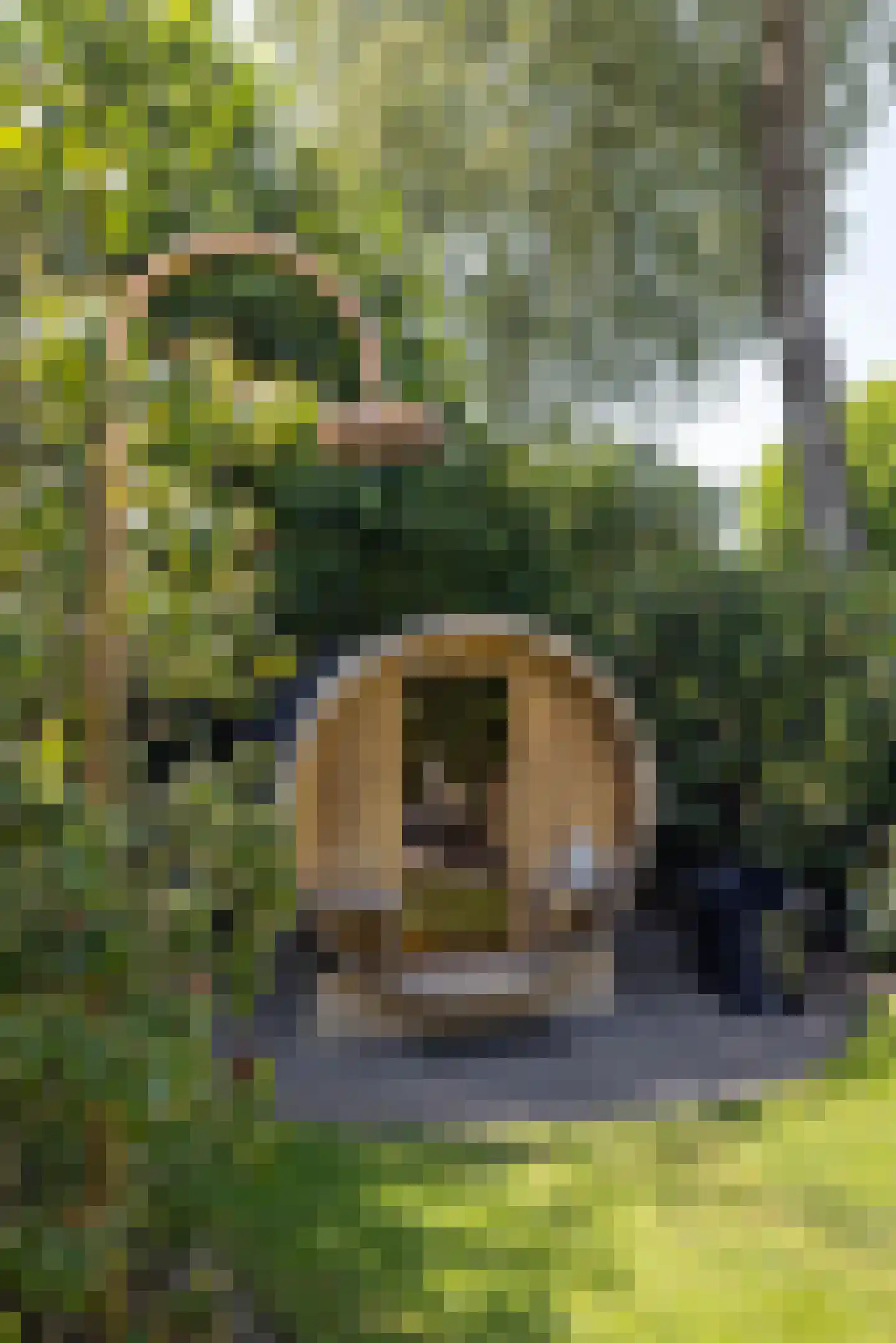 Veldmolen 12 Delden thumbnail 56