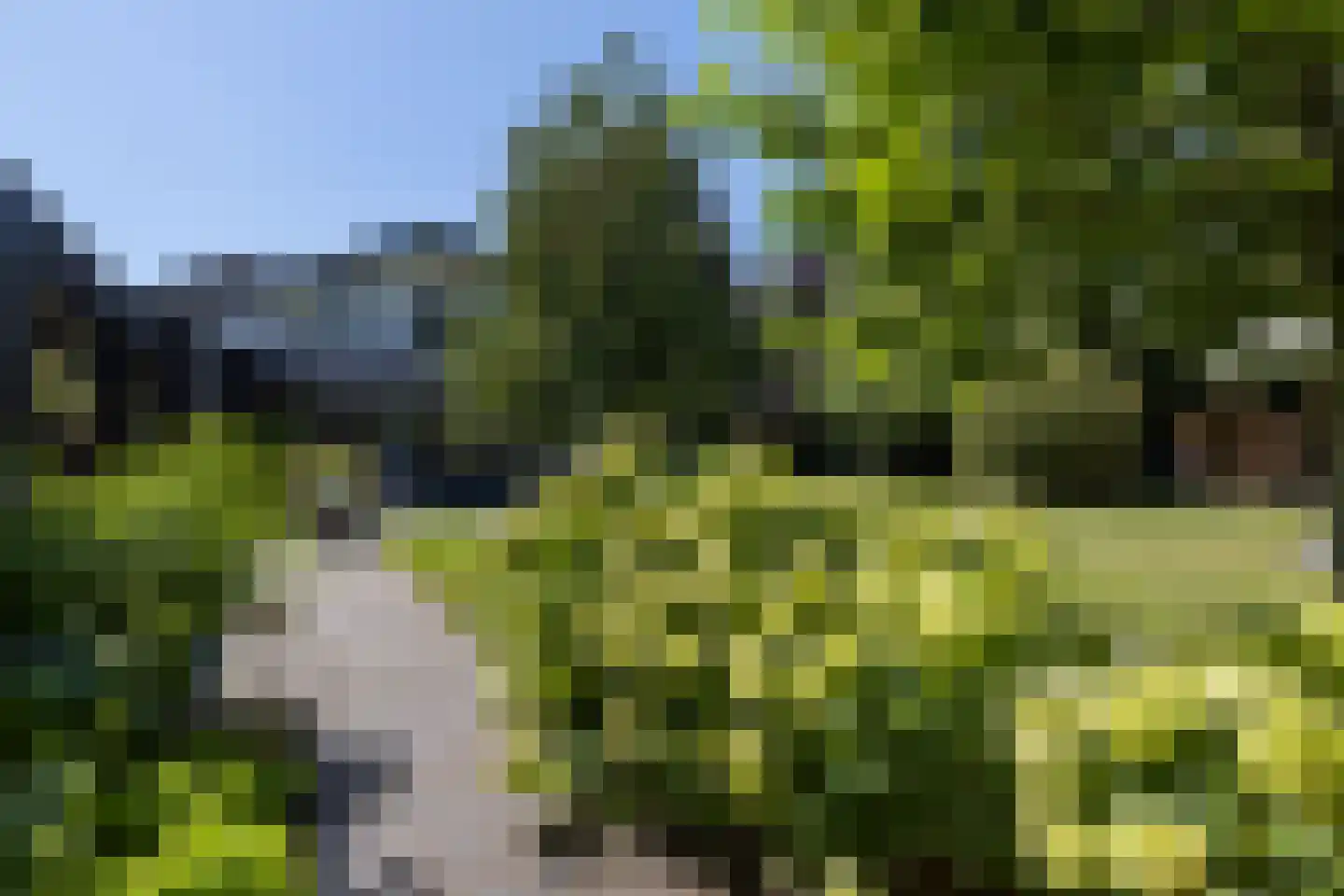 Veldmolen 12 Delden thumbnail 9