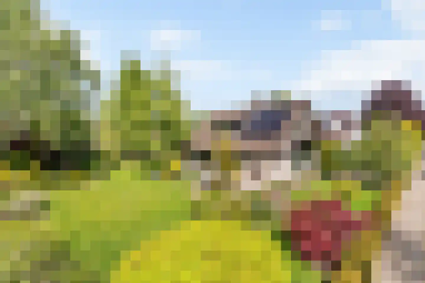 Veldmolen 16 Delden thumbnail 19