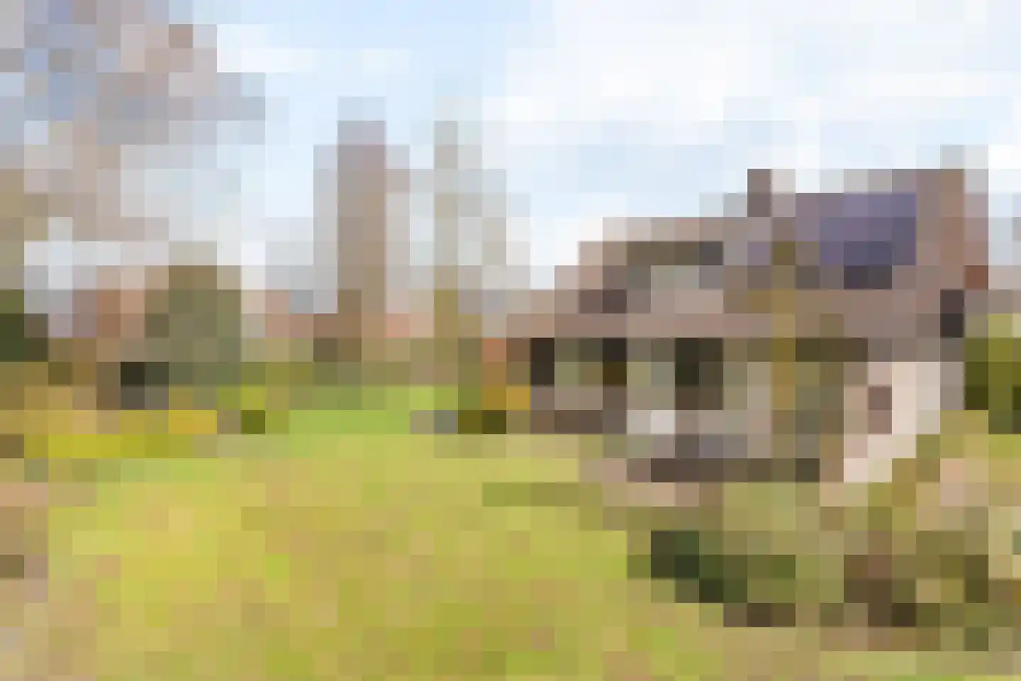 Veldmolen 16 Delden thumbnail 19