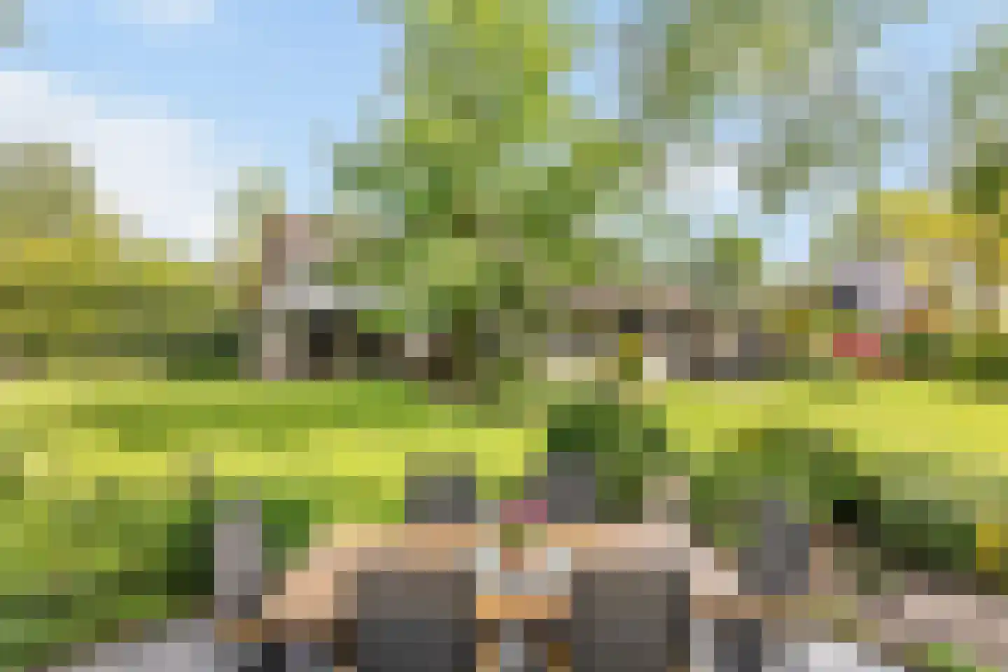 Veldmolen 16 Delden thumbnail 20