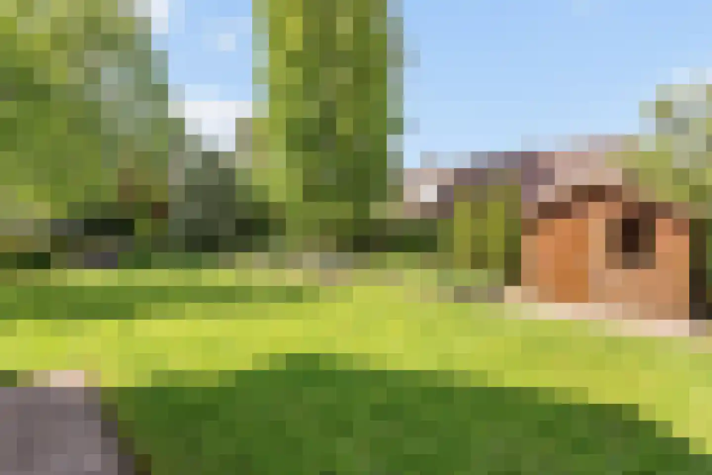 Veldmolen 16 Delden thumbnail 21