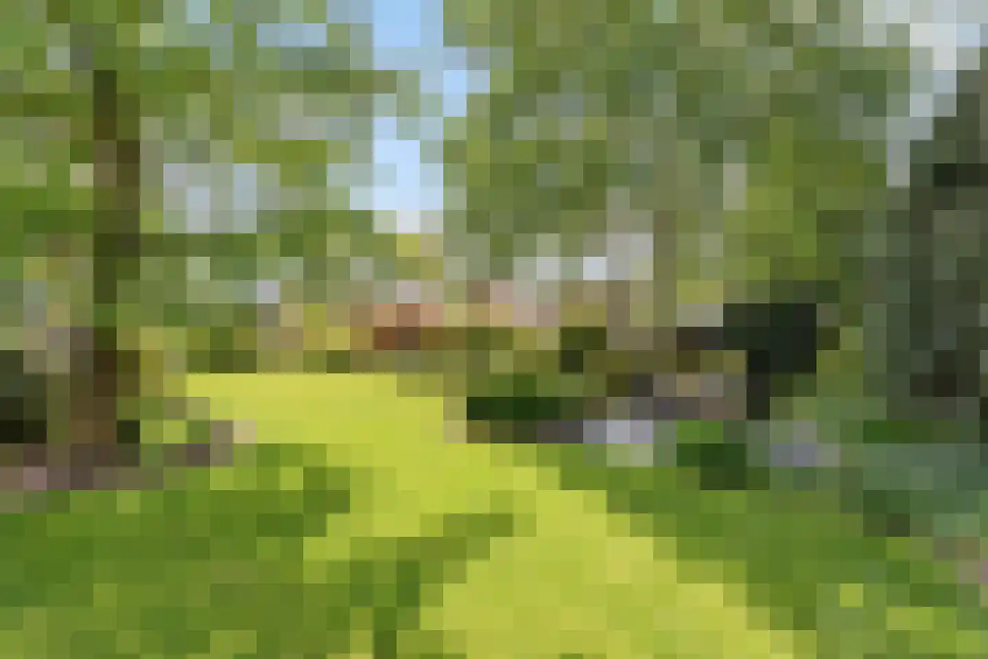 Veldmolen 16 Delden thumbnail 22