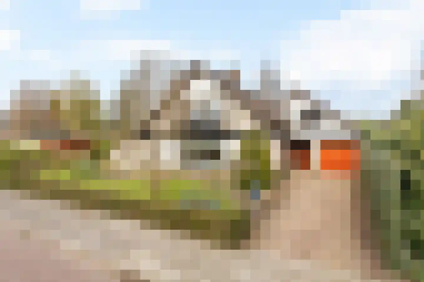 Veldmolen 16 Delden thumbnail 5