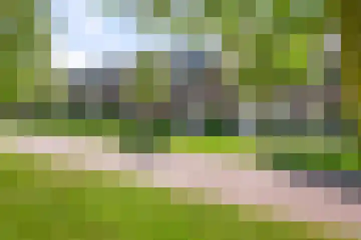 Veldmuis 40 in Uithoorn