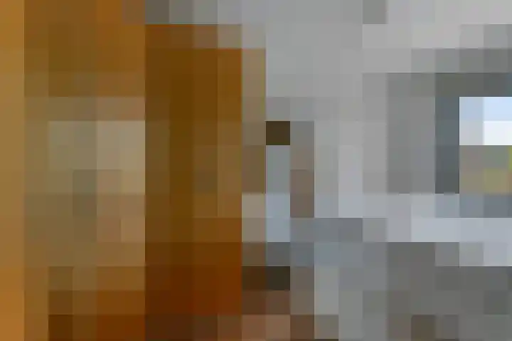 Veldmuis 40 Uithoorn thumbnail 17