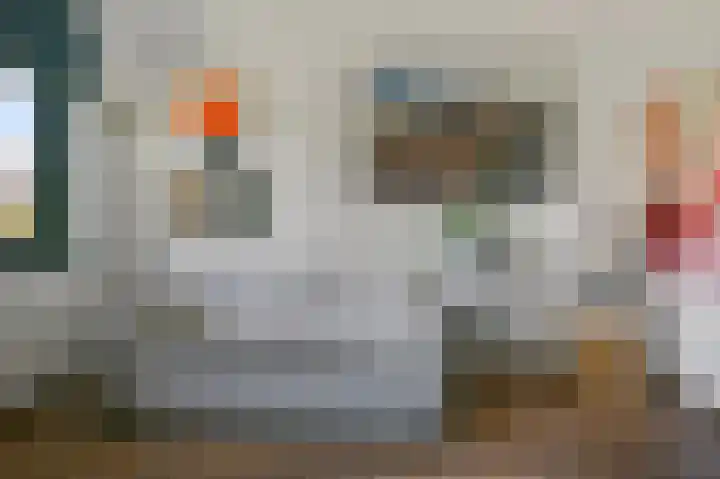 Veldmuis 40 Uithoorn thumbnail 20