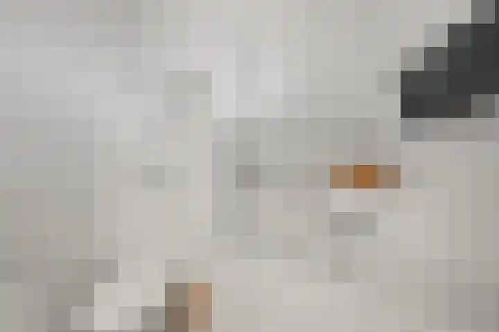 Veldmuis 40 Uithoorn thumbnail 23