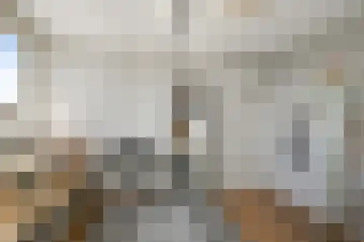 Veldmuis 40 Uithoorn thumbnail 32