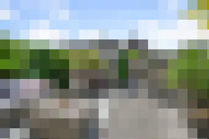 Veldmuis 40 Uithoorn thumbnail 34