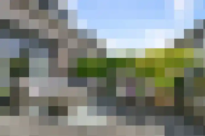 Veldmuis 40 Uithoorn thumbnail 35