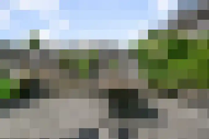 Veldmuis 40 Uithoorn thumbnail 36