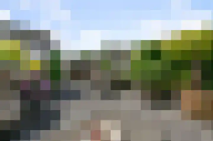 Veldmuis 40 Uithoorn thumbnail 37