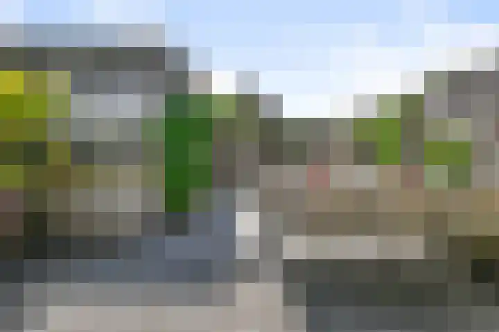 Veldmuis 40 Uithoorn thumbnail 38