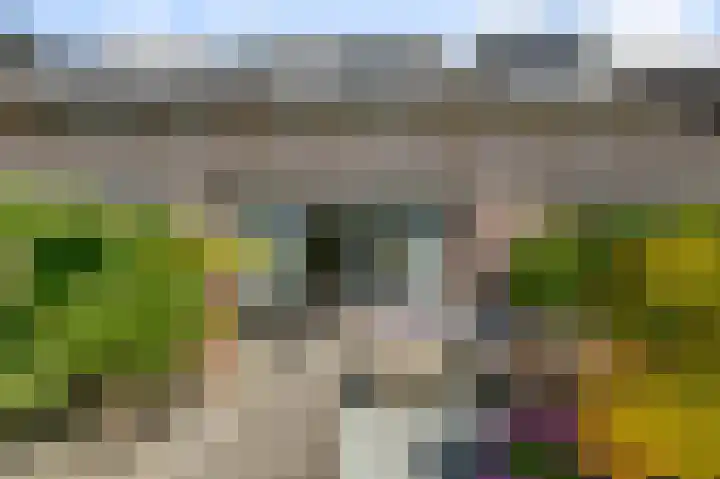 Veldmuis 40 Uithoorn thumbnail 39