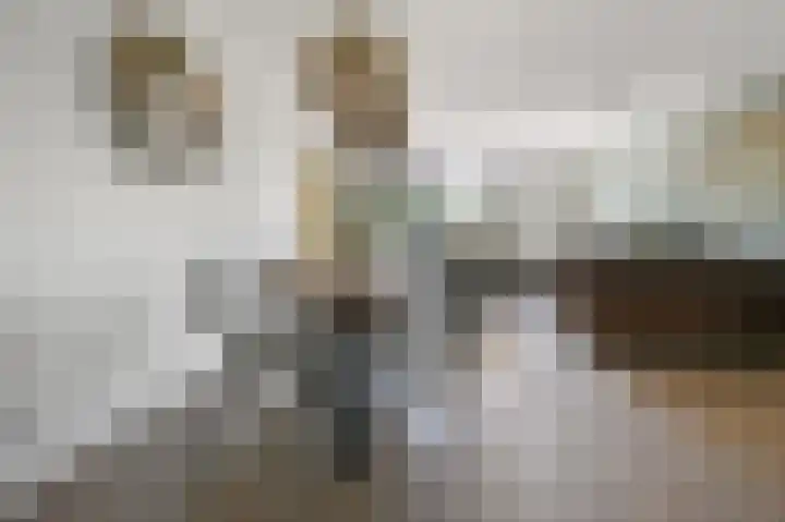 Veldmuis 40 Uithoorn thumbnail 4