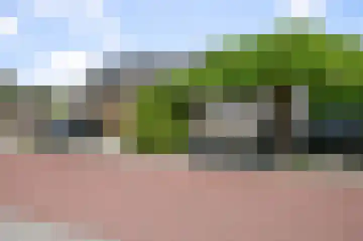 Veldmuis 40 Uithoorn thumbnail 40