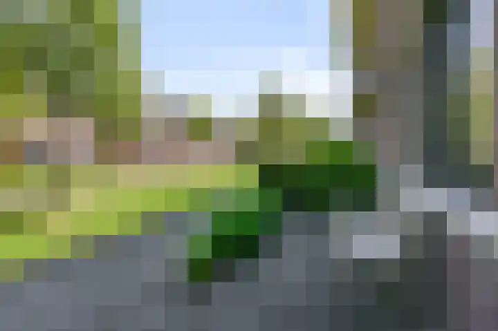 Veldmuis 40 Uithoorn thumbnail 41