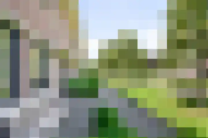 Veldmuis 40 Uithoorn thumbnail 42