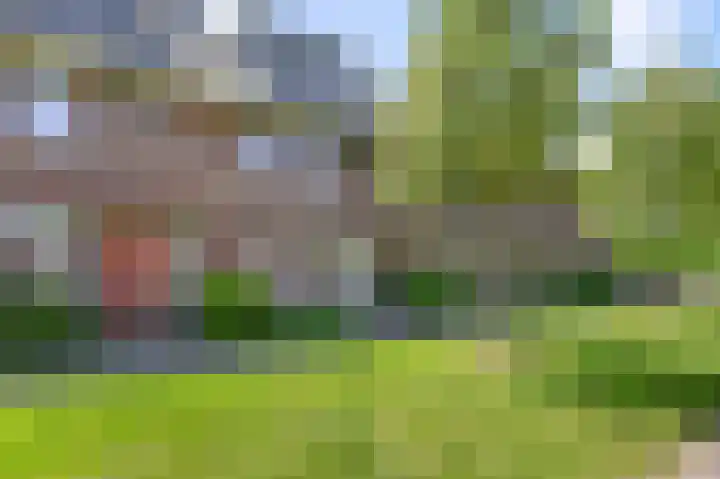 Veldmuis 40 Uithoorn thumbnail 43