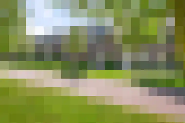 Veldmuis 40 Uithoorn thumbnail 49
