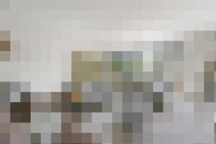 Veldmuis 40 Uithoorn thumbnail 6