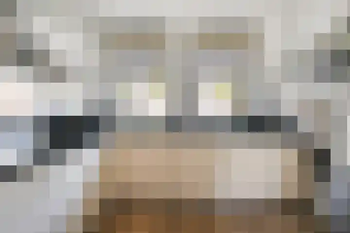 Veldmuis 40 Uithoorn thumbnail 8