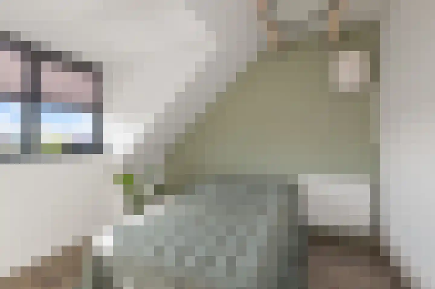 Veldmuis 56 Uithoorn thumbnail 26