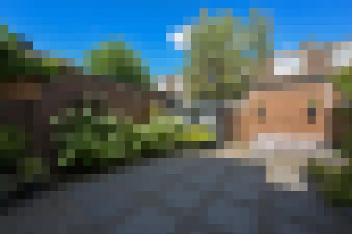 Veldmuis 56 Uithoorn thumbnail 36