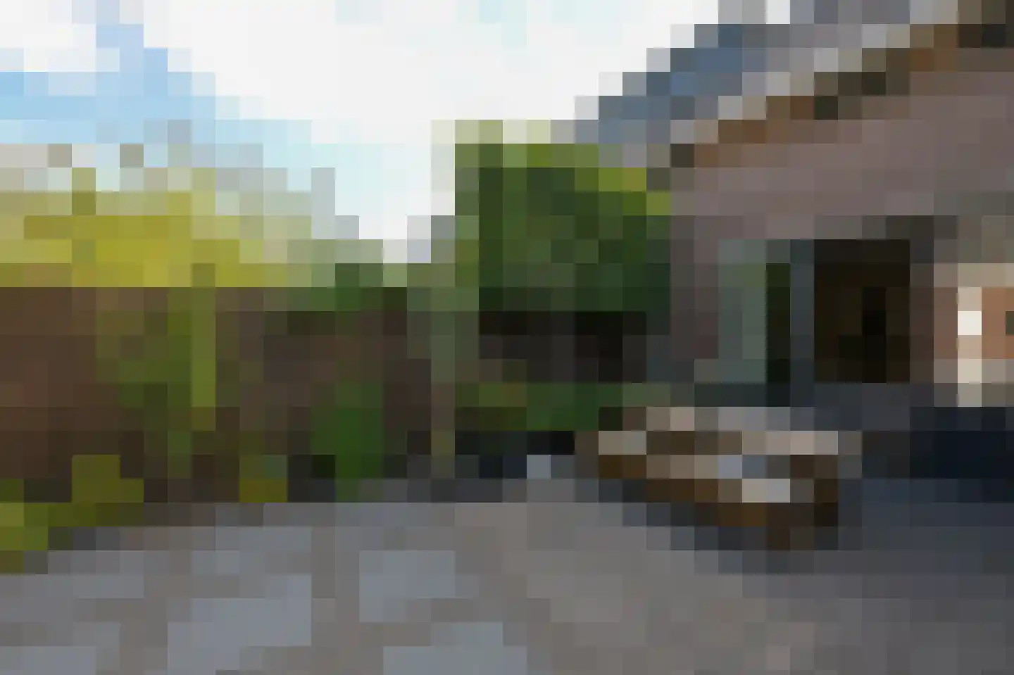 Veldmuis 56 Uithoorn thumbnail 39