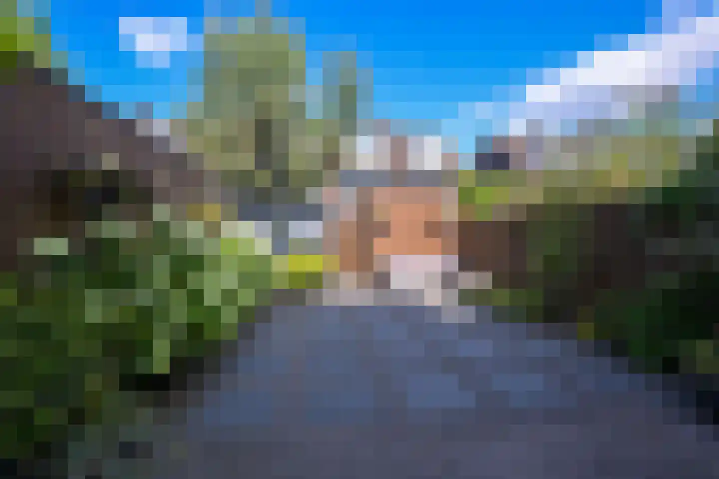 Veldmuis 56 Uithoorn thumbnail 40
