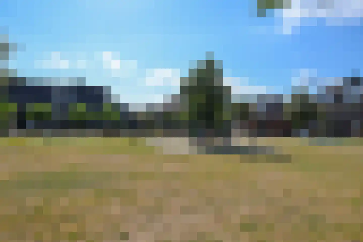 Veldmuis 56 Uithoorn thumbnail 43