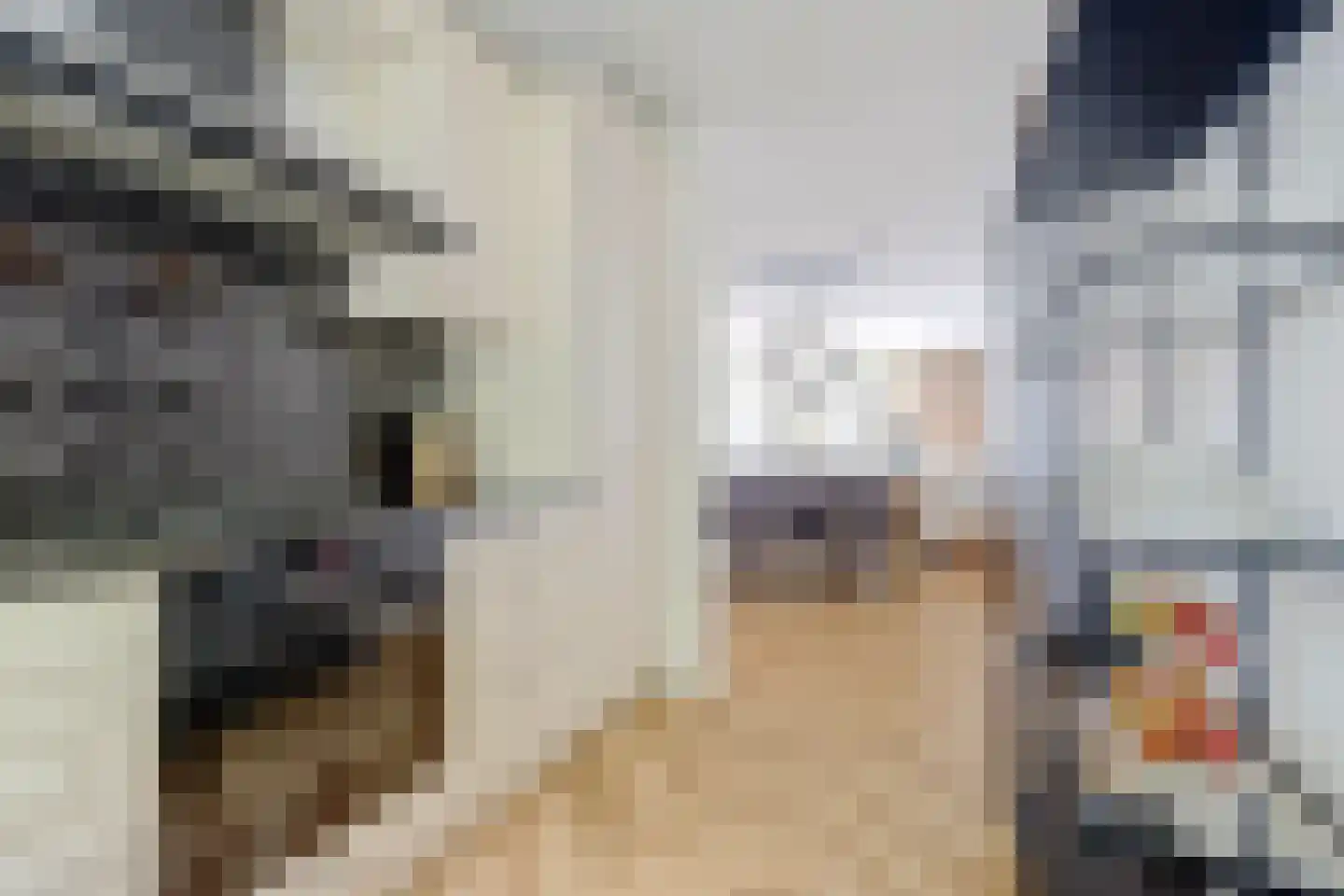 Veldmuislaan 11 Veenendaal thumbnail 20