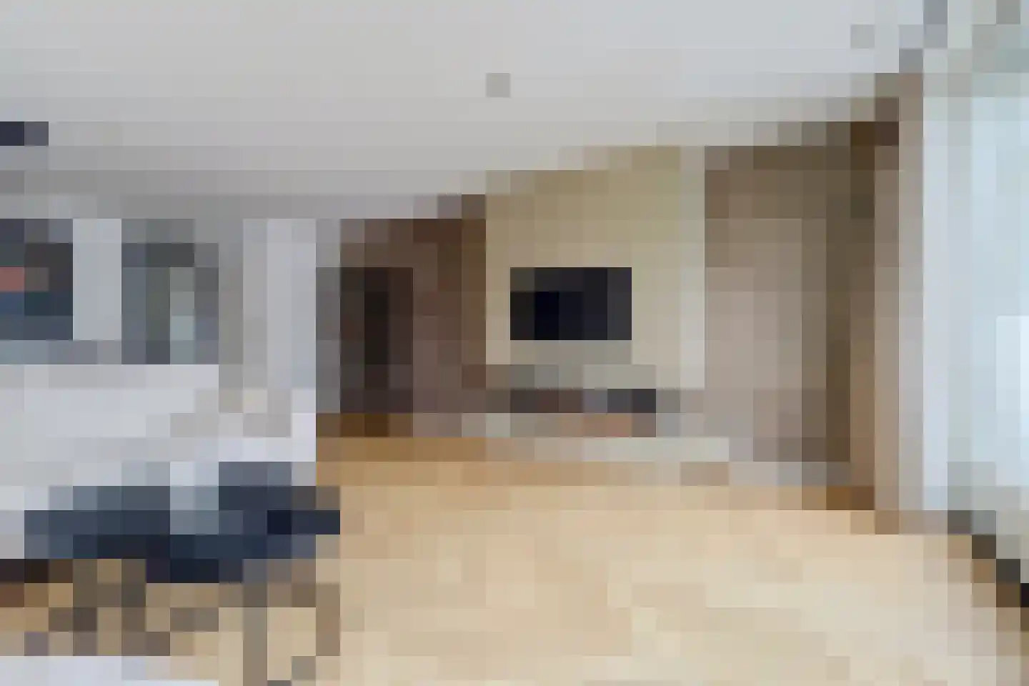 Veldmuislaan 11 Veenendaal thumbnail 4