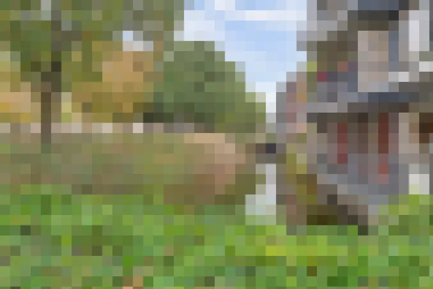 Veldmuislaan 11 Veenendaal thumbnail 46