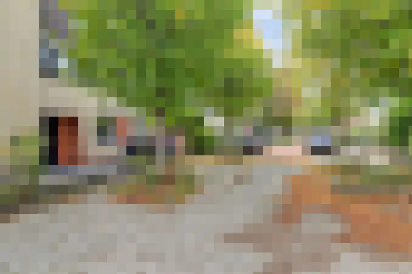 Veldmuislaan 11 Veenendaal thumbnail 5