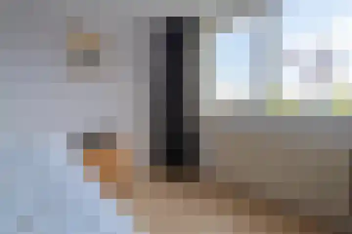 Veldmuislaan 9 Veenendaal thumbnail 21