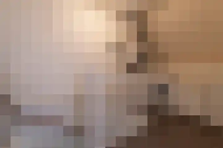 Veldmuislaan 9 Veenendaal thumbnail 30