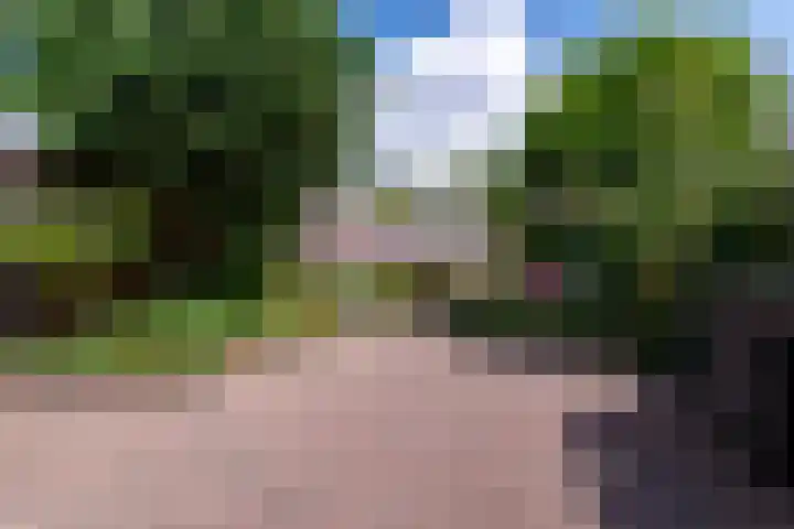 Veldmuislaan 9 Veenendaal thumbnail 36