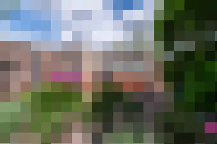 Veldmuislaan 9 Veenendaal thumbnail 37