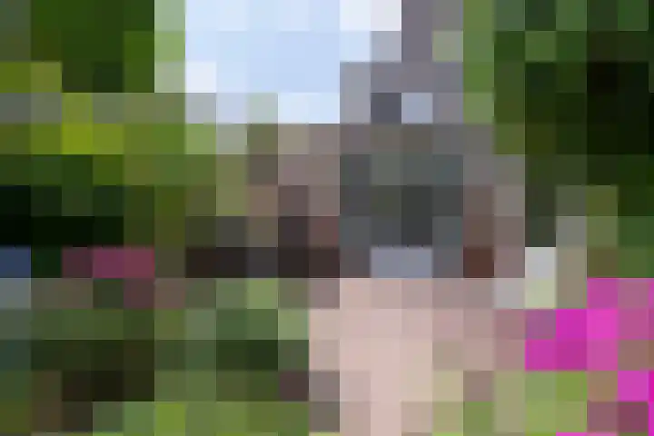 Veldmuislaan 9 Veenendaal thumbnail 39