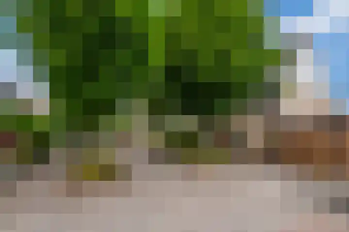 Veldmuislaan 9 Veenendaal thumbnail 42